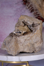 Rare Herkimer Diamond Specimen 0.6KG with Quartz, Calcite and Bitumen, New York, USA Rocks & Fossils Tali & Loz