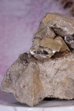 Rare Herkimer Diamond Specimen 0.6KG with Quartz, Calcite and Bitumen, New York, USA Rocks & Fossils Tali & Loz