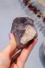 Raw Chevron Amethyst Root 474gr Specimen Tali & Loz Crystals
