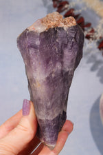 Raw Chevron Amethyst Root 474gr Specimen Tali & Loz Crystals