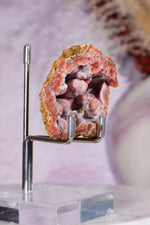 Red Botryoidal Chalcedony Geode 6cm, Morocco Specimen Tali & Loz Crystals