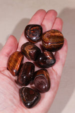 Red Tigers Eye Tumblestones Large 25-35 mm - Tali & Loz Crystals