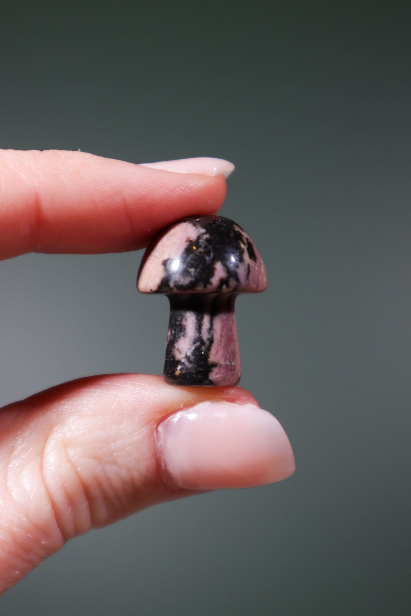 Rhodonite Mushrooms Mushrooms Tali & Loz