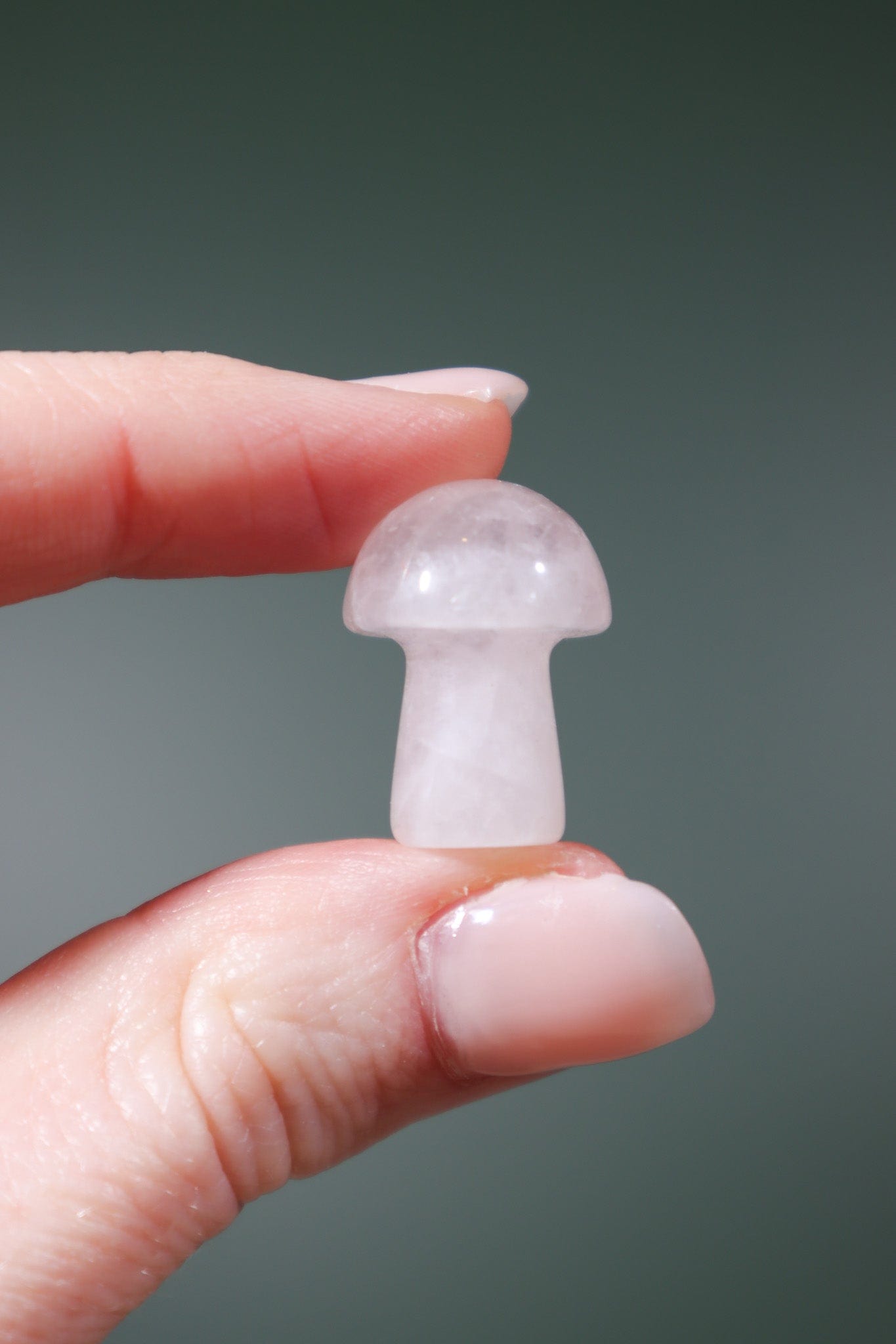 Rose Quartz Mushrooms 20mm - Tali & Loz Crystals