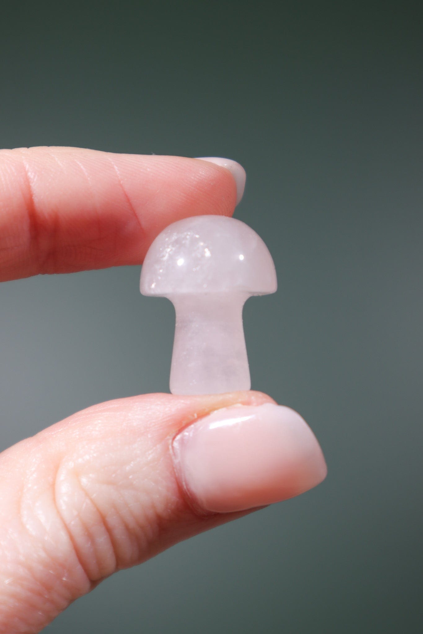 Rose Quartz Mushrooms 20mm - Tali & Loz Crystals