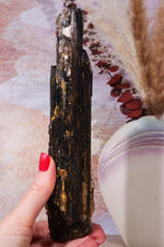 Rough Black Tourmaline 21cm, Sold As Seen Rough Crystals Tali & Loz Crystals