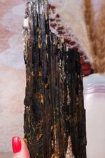Rough Black Tourmaline 21cm, Sold As Seen Rough Crystals Tali & Loz Crystals