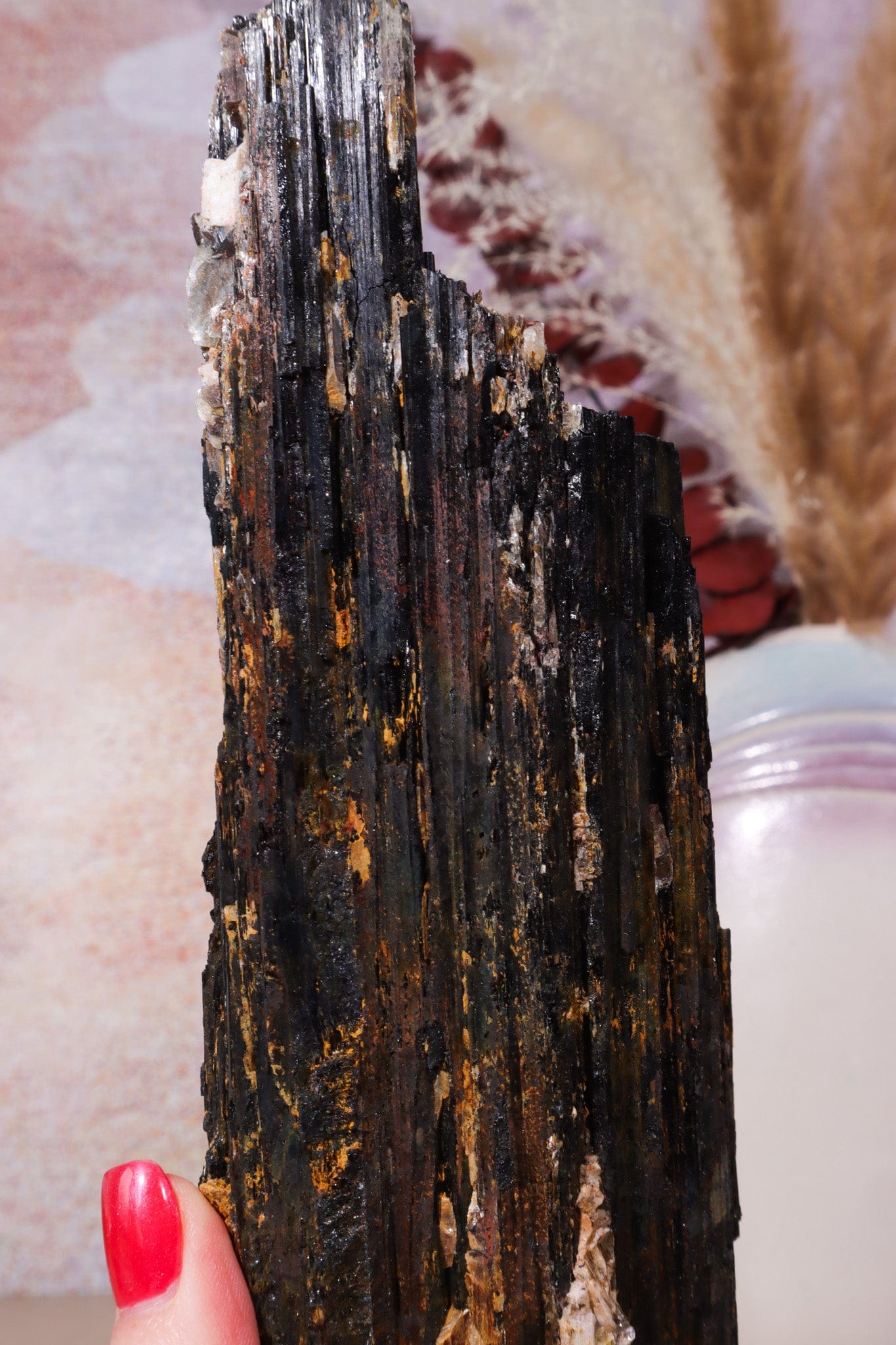 Rough Black Tourmaline 21cm, Sold As Seen Rough Crystals Tali & Loz Crystals