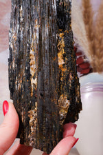 Rough Black Tourmaline 21cm, Sold As Seen Rough Crystals Tali & Loz Crystals