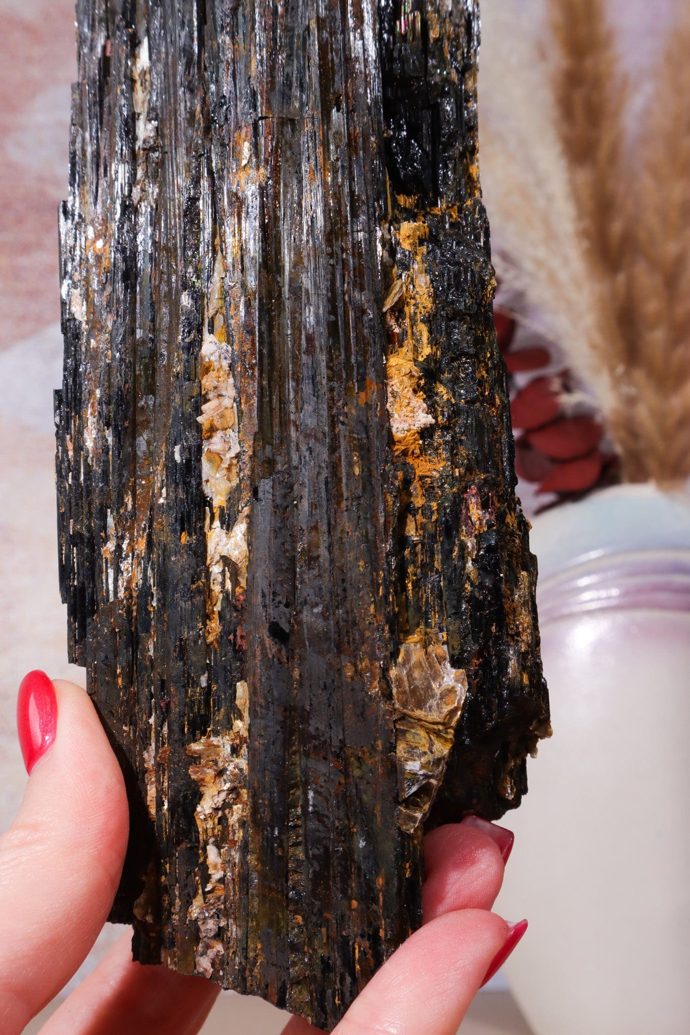 Rough Black Tourmaline 21cm, Sold As Seen Rough Crystals Tali & Loz Crystals