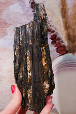 Rough Black Tourmaline 21cm, Sold As Seen Rough Crystals Tali & Loz Crystals