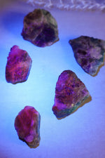 Rough Blue Hackmanite with Pyrite Rough Crystals Tali & Loz Crystals
