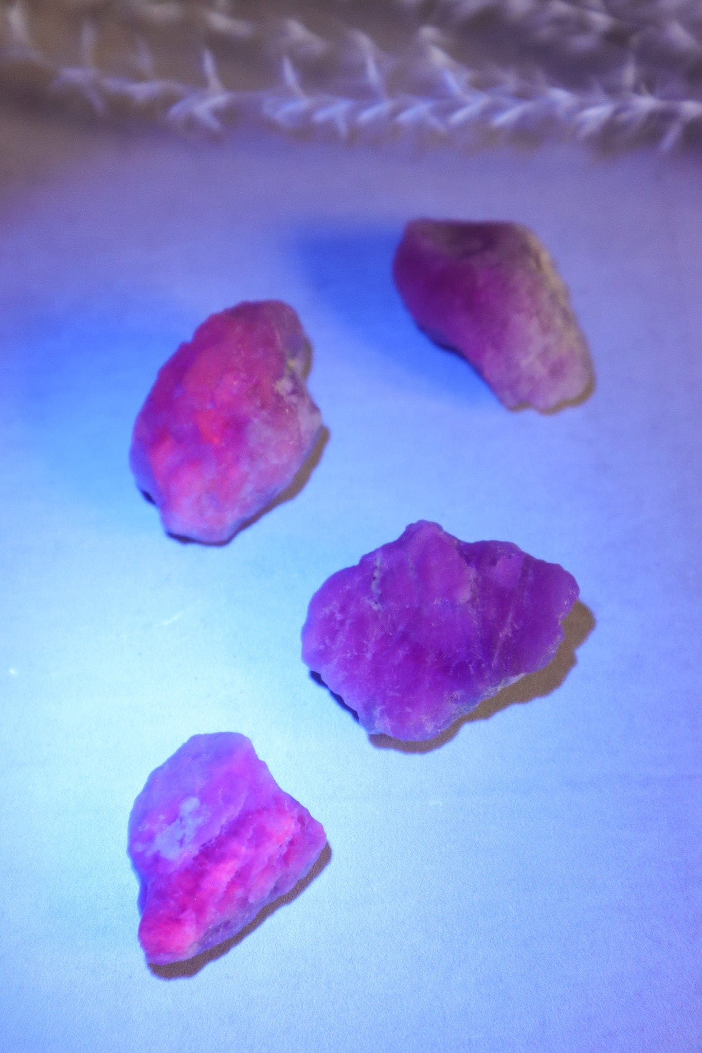 Rough Purple Hackmanite Rough Crystals Tali & Loz Crystals
