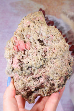 Rough Rhodochrosite Mineral 1.3kg, Colorado Minerals Tali & Loz Crystals