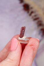 Rubellite Tourmaline Crystal | 14mm | Brazil Rough Crystals Tali & Loz Crystals