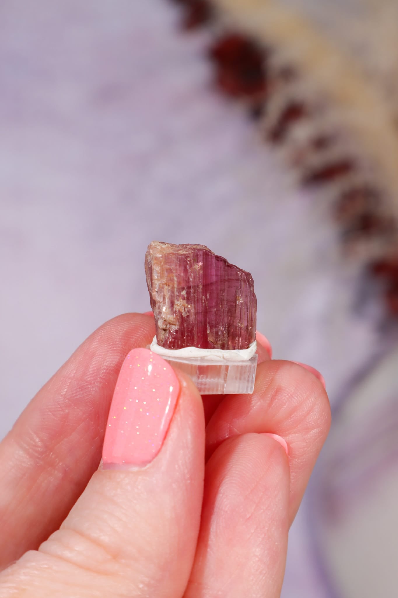 Rubellite Tourmaline Crystal | 14mm | Brazil Rough Crystals Tali & Loz Crystals
