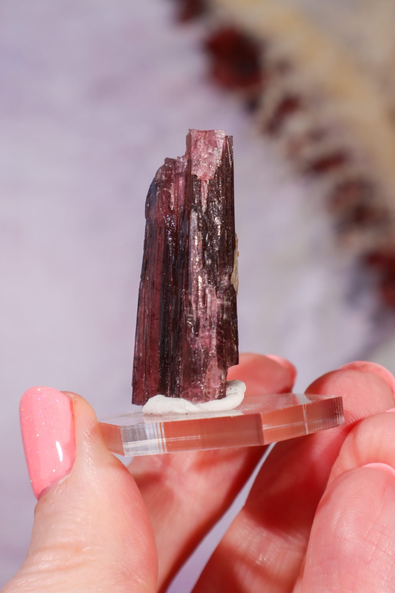 Rubellite Tourmaline Crystal | 35mm | Brazil Rough Crystals Tali & Loz Crystals