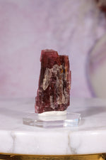 Rubellite Tourmaline Crystal | 35mm | Brazil Rough Crystals Tali & Loz Crystals