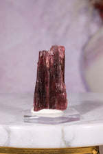 Rubellite Tourmaline Crystal | 35mm | Brazil Rough Crystals Tali & Loz Crystals