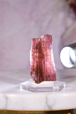 Rubellite Tourmaline Crystal | 35mm | Brazil Rough Crystals Tali & Loz Crystals
