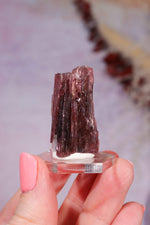 Rubellite Tourmaline Crystal | 35mm | Brazil Rough Crystals Tali & Loz Crystals