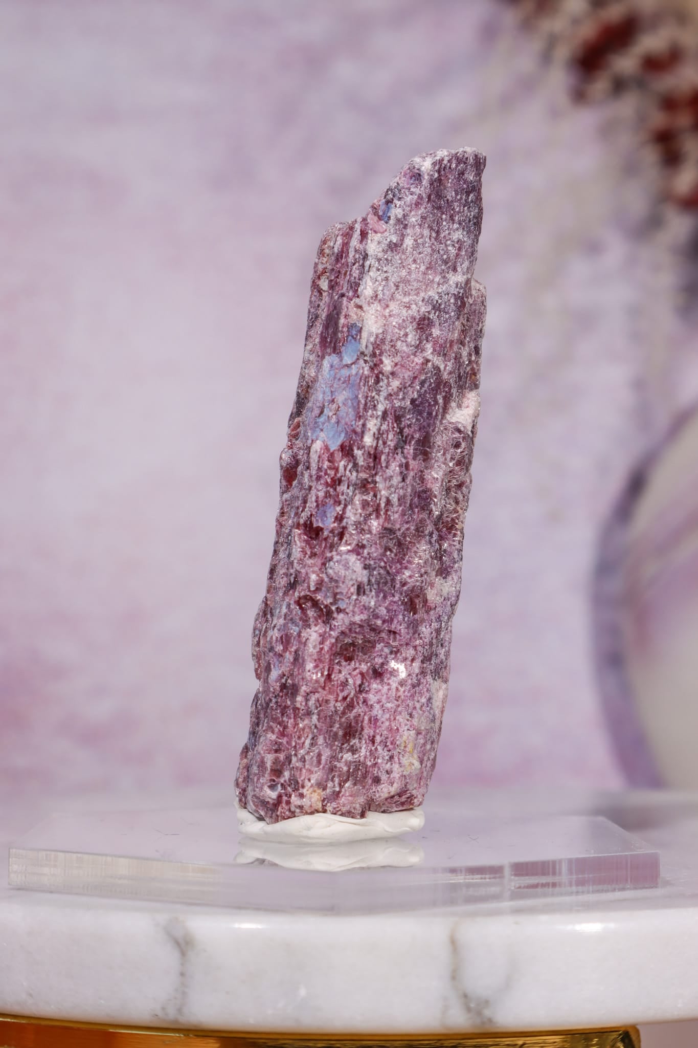 Rubellite Tourmaline Crystal | 78mm | Paraíba, Brazil Minerals Tali & Loz Crystals