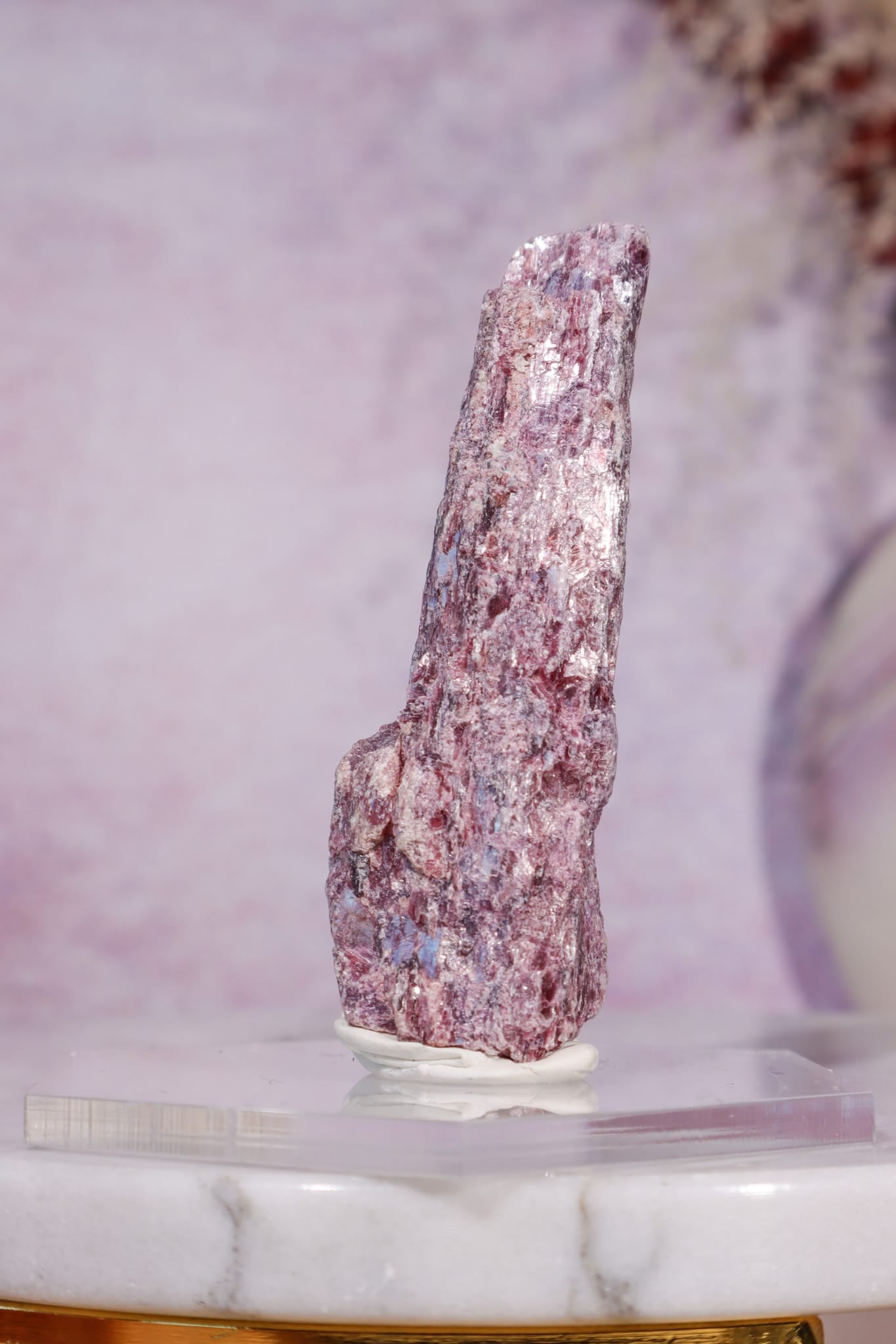 Rubellite Tourmaline Crystal | 78mm | Paraíba, Brazil Minerals Tali & Loz Crystals