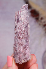 Rubellite Tourmaline Crystal | 78mm | Paraíba, Brazil Minerals Tali & Loz Crystals