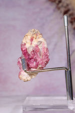 Rubellite Tourmaline in Quartz Matrix | 53mm | Brazil Rough Crystals Tali & Loz Crystals