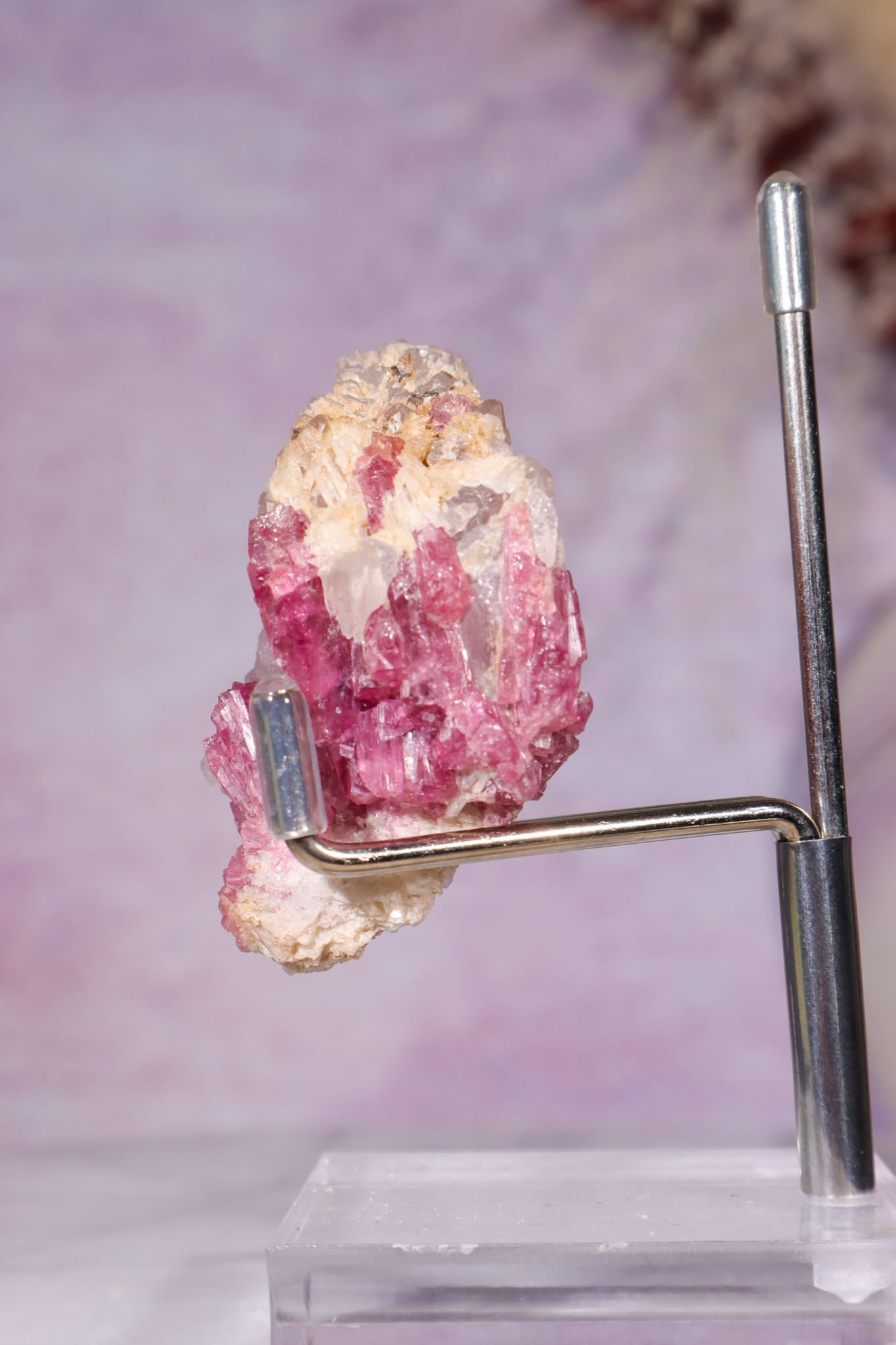 Rubellite Tourmaline in Quartz Matrix | 53mm | Brazil Rough Crystals Tali & Loz Crystals