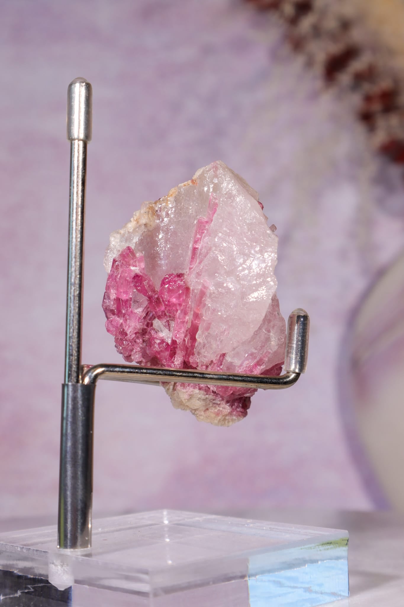 Rubellite Tourmaline in Quartz Matrix | 53mm | Brazil Rough Crystals Tali & Loz Crystals