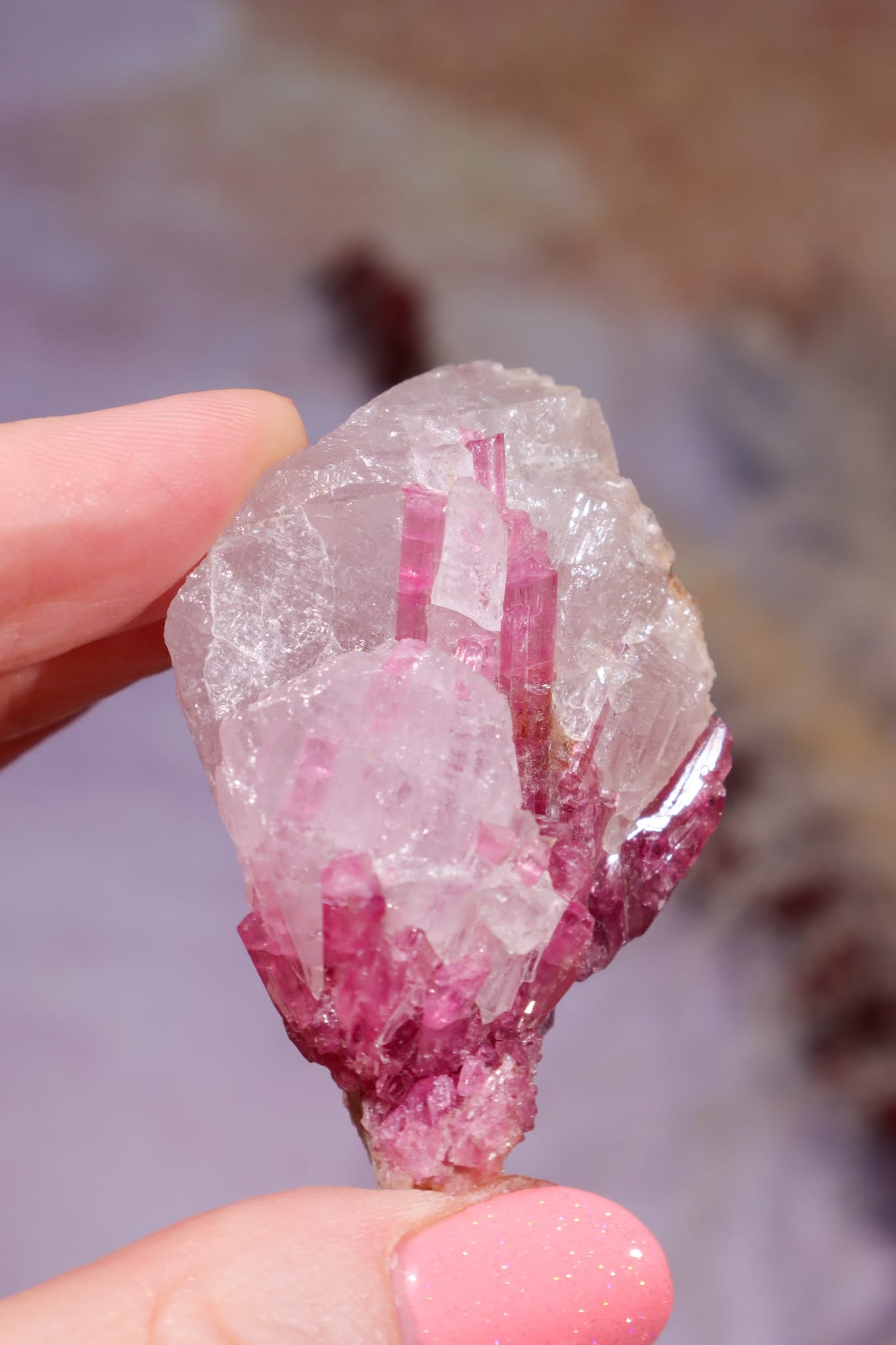Rubellite Tourmaline in Quartz Matrix | 53mm | Brazil Rough Crystals Tali & Loz Crystals