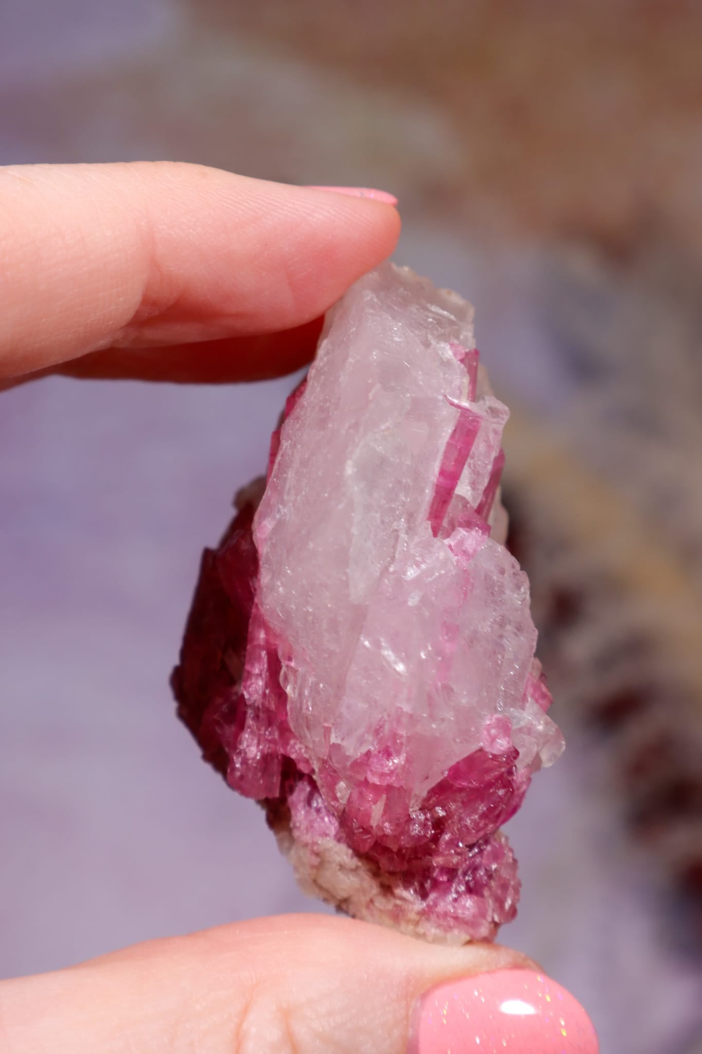 Rubellite Tourmaline in Quartz Matrix | 53mm | Brazil Rough Crystals Tali & Loz Crystals