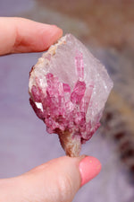 Rubellite Tourmaline in Quartz Matrix | 53mm | Brazil Rough Crystals Tali & Loz Crystals