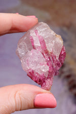 Rubellite Tourmaline in Quartz Matrix | 53mm | Brazil Rough Crystals Tali & Loz Crystals