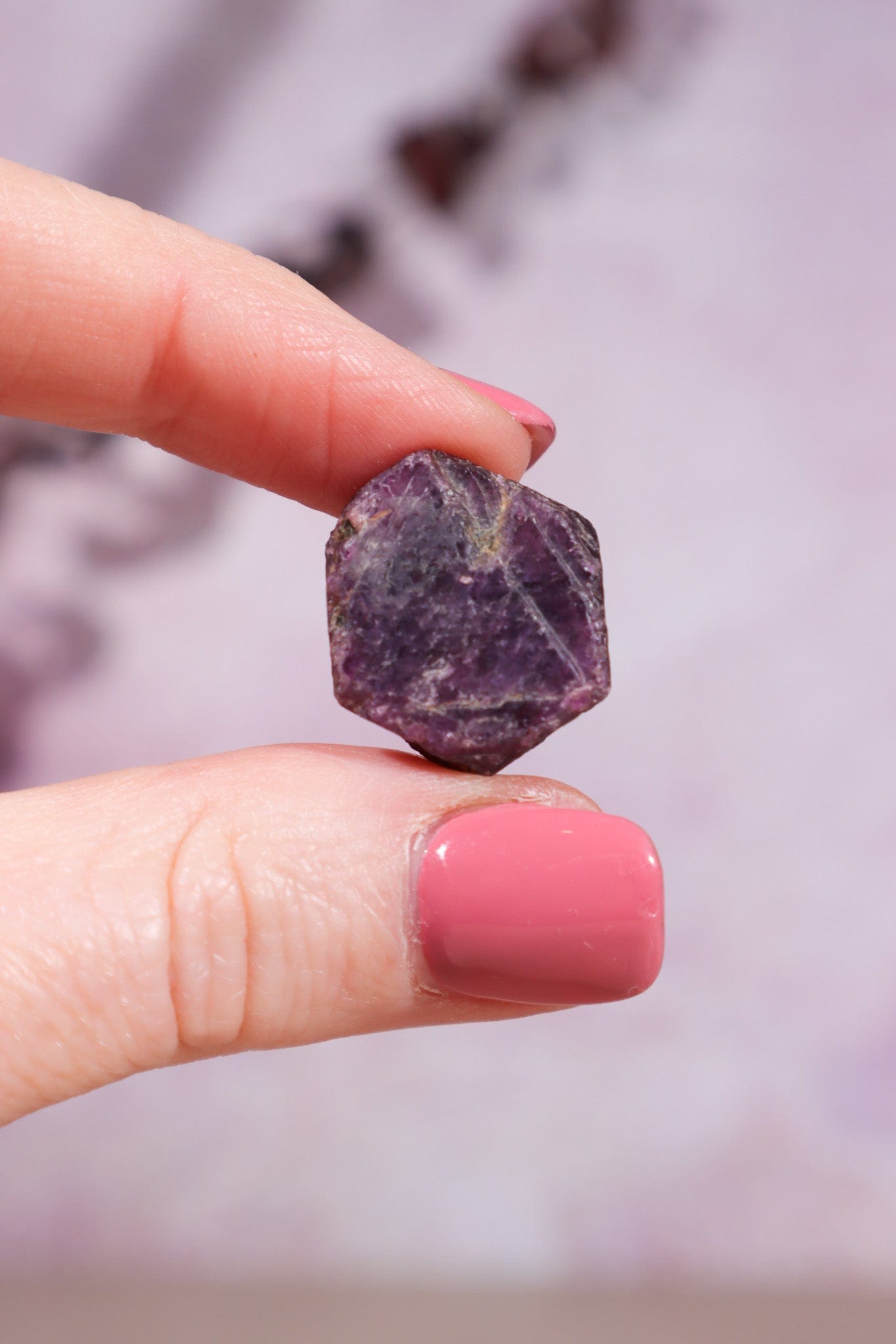 Ruby Double Record Keeper 6.28gr - Tali & Loz Crystals