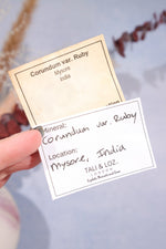 Ruby Specimen 5cm Minerals Tali & Loz Crystals