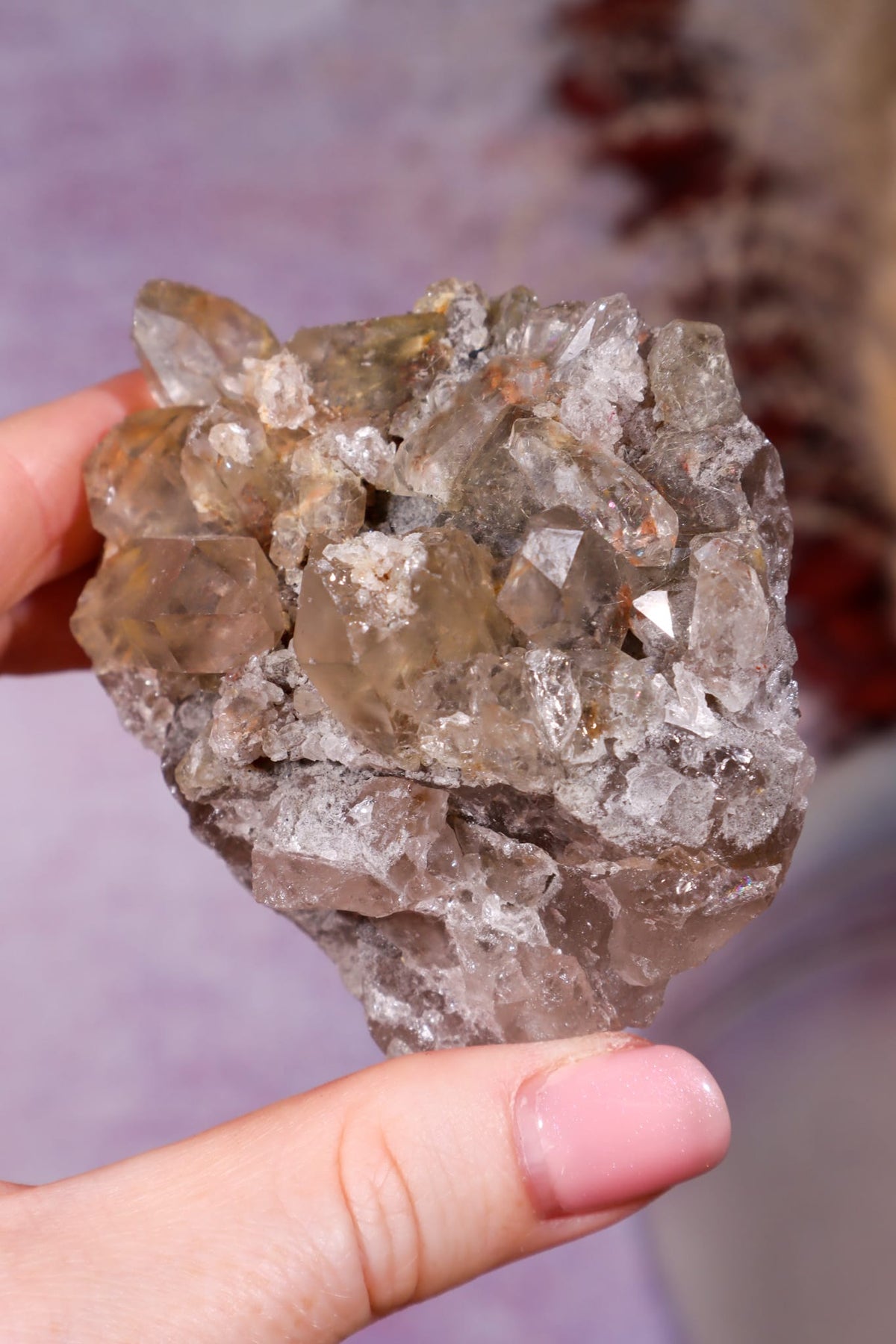 Rutilated Smoky Quartz Cluster | 6.6cm | Brazil Crystal Cluster Tali & Loz Crystals