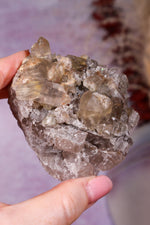 Rutilated Smoky Quartz Cluster | 6.6cm | Brazil Crystal Cluster Tali & Loz Crystals