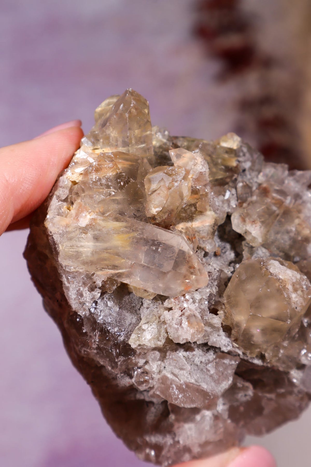 Rutilated Smoky Quartz Cluster | 6.6cm | Brazil Crystal Cluster Tali & Loz Crystals