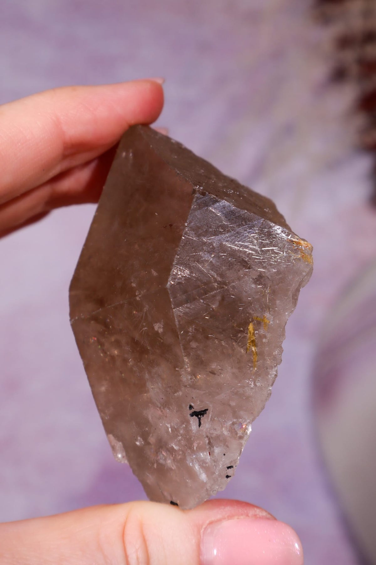 Rutilated Smoky Quartz Point | 6.8cm | Brazil Crystal Point Tali & Loz Crystals