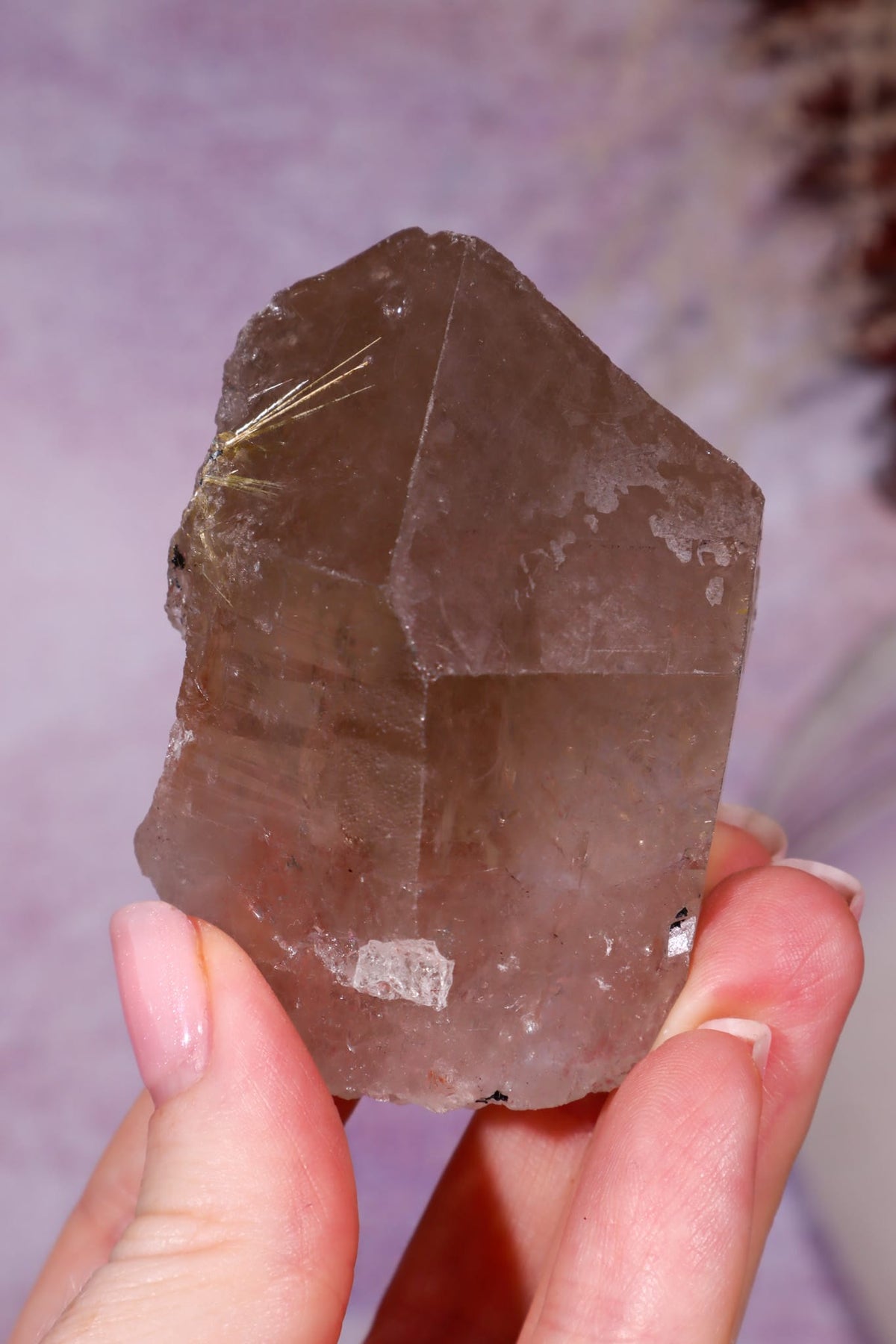 Rutilated Smoky Quartz Point | 6.8cm | Brazil Crystal Point Tali & Loz Crystals