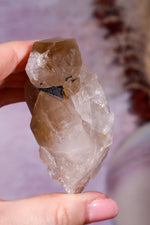 Rutilated Smoky Quartz with Hematite | 6.5–7 cm | Brazil Crystal Tali & Loz Crystals