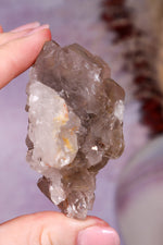 Rutilated Smoky Quartz with Hematite | 6.5–7 cm | Brazil Crystal Tali & Loz Crystals