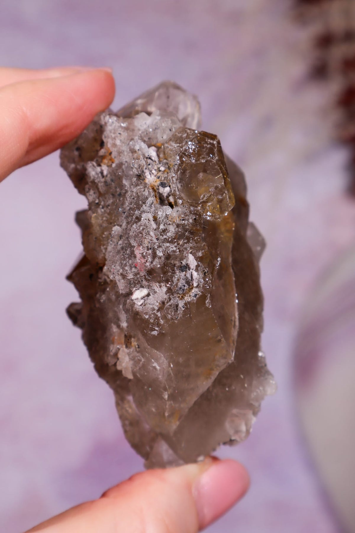 Rutilated Smoky Quartz with Hematite | 6.5–7 cm | Brazil Crystal Tali & Loz Crystals