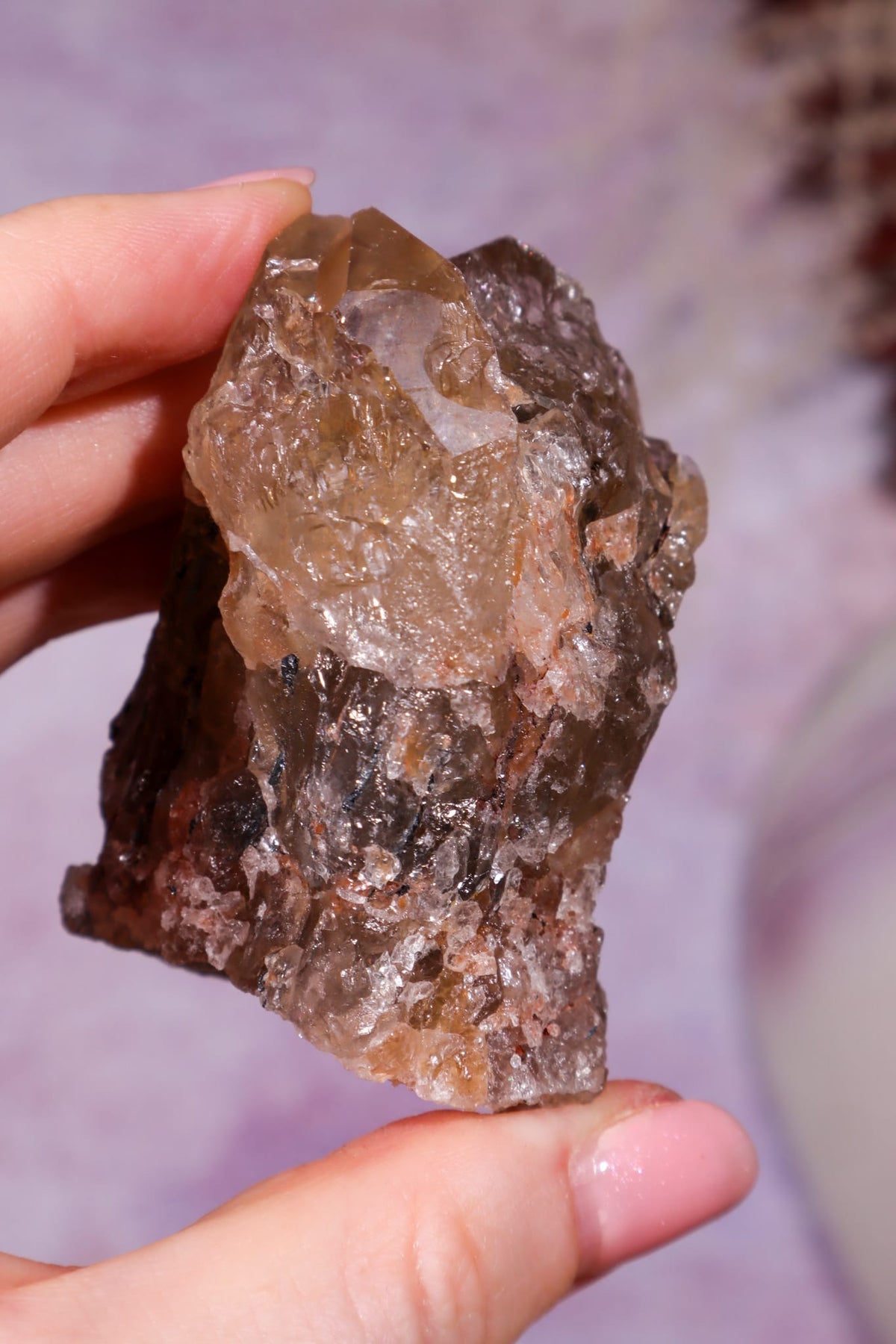 Rutilated Smoky Quartz with Hematite Cluster | 6cm | Brazil Crystal Cluster Tali & Loz Crystals