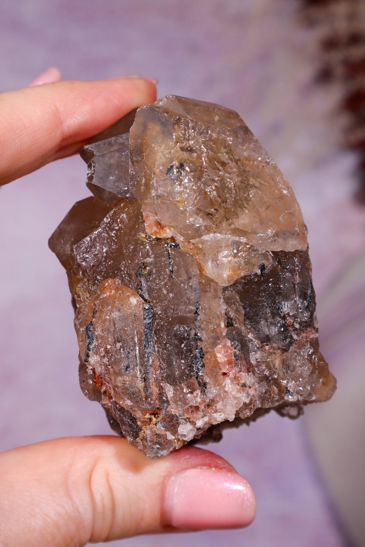 Rutilated Smoky Quartz with Hematite Cluster | 6cm | Brazil Crystal Cluster Tali & Loz Crystals