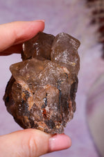 Rutilated Smoky Quartz with Hematite Cluster | 6cm | Brazil Crystal Cluster Tali & Loz Crystals