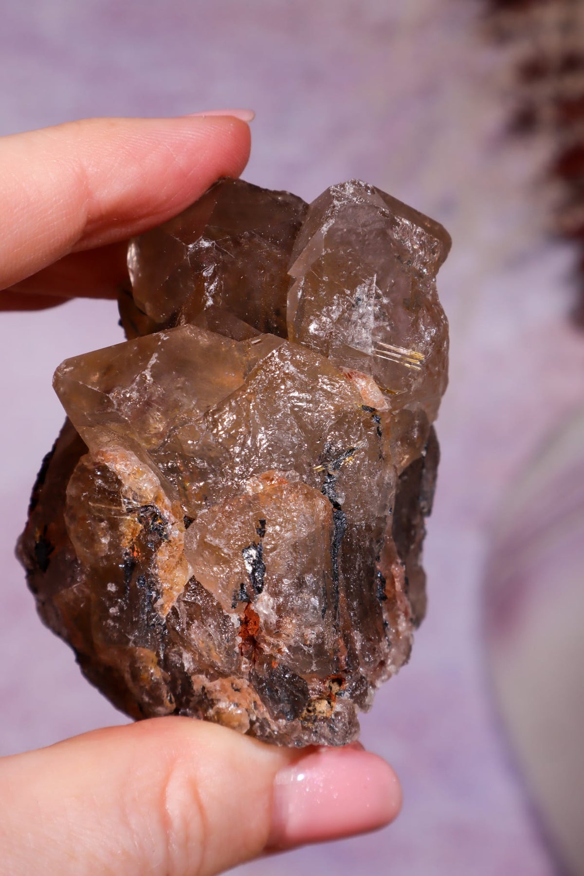 Rutilated Smoky Quartz with Hematite Cluster | 6cm | Brazil Crystal Cluster Tali & Loz Crystals