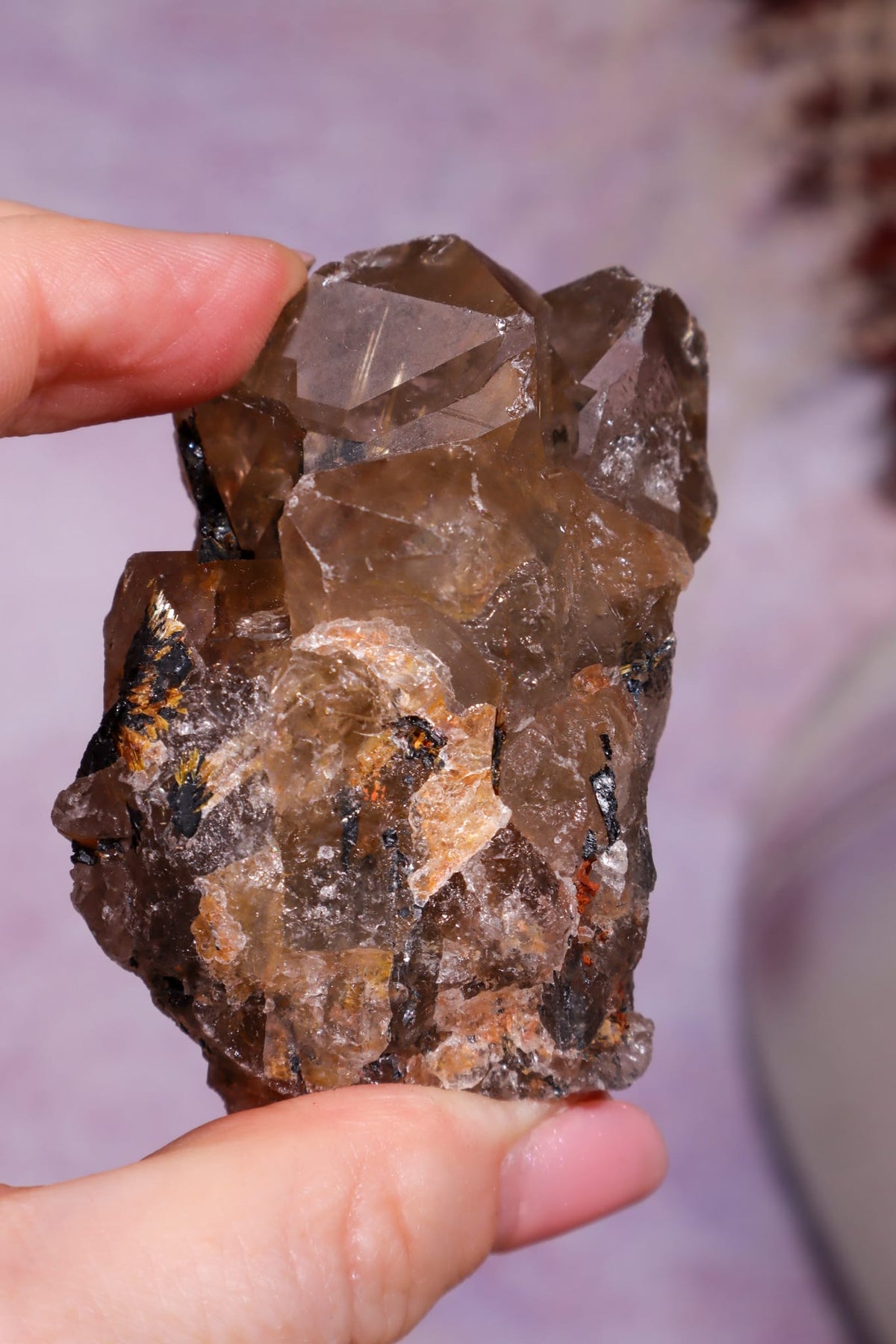 Rutilated Smoky Quartz with Hematite Cluster | 6cm | Brazil Crystal Cluster Tali & Loz Crystals